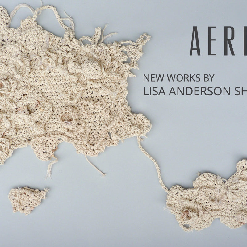 Aerial by Lisa Anderson Shaffer