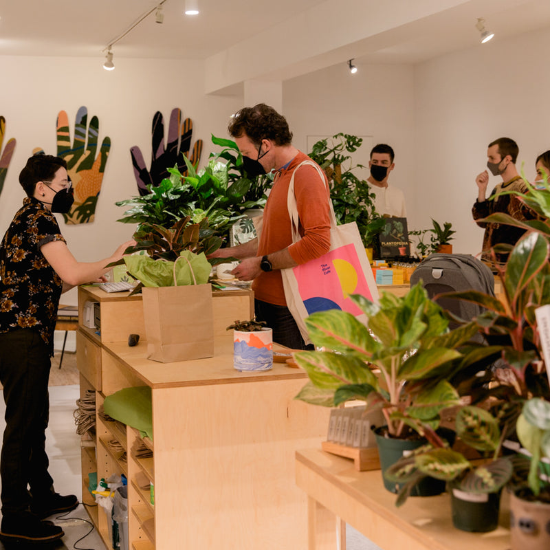 Plant Swap hosted by Natalie Gavidia and Rare Device