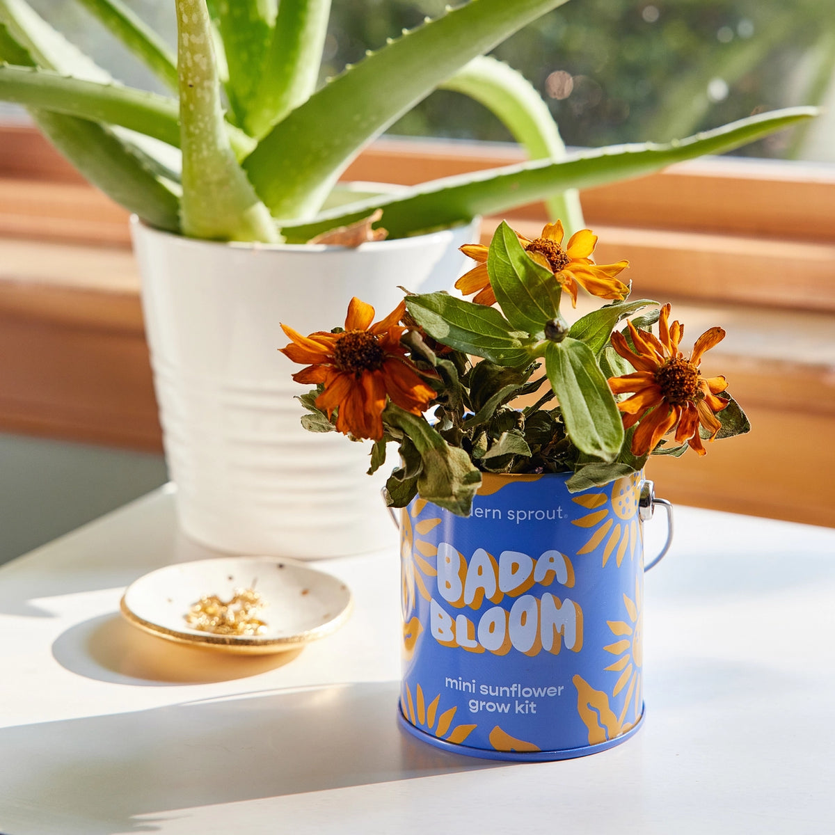 Complimentary Color Grow Kit - Sunflower