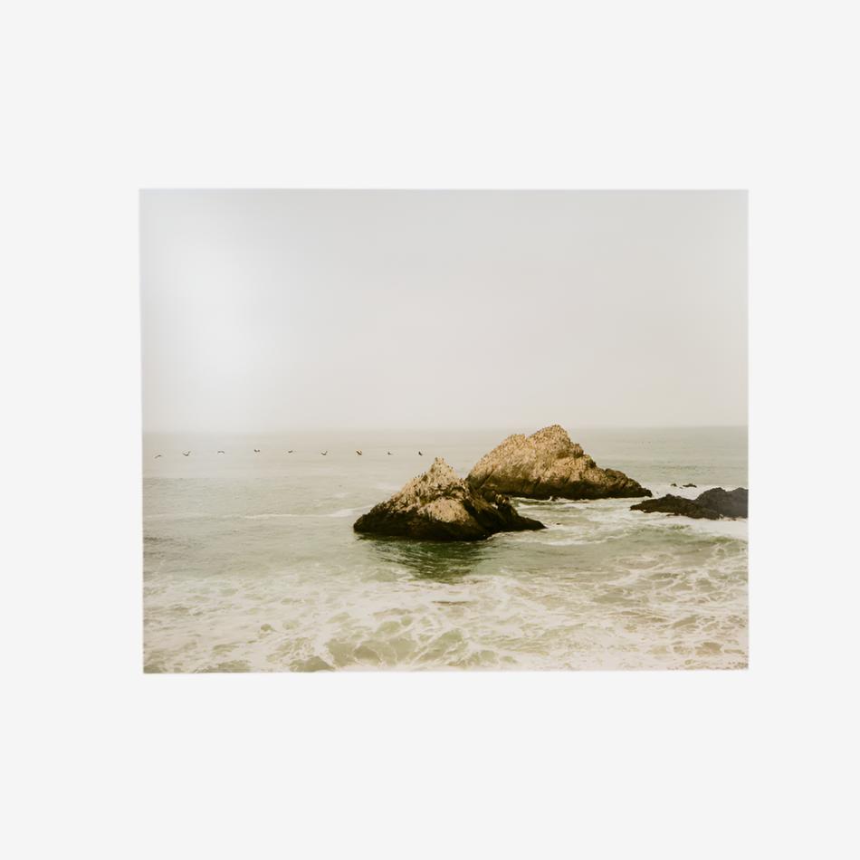 Seal Rocks, Lands End Print by Ariel Berk