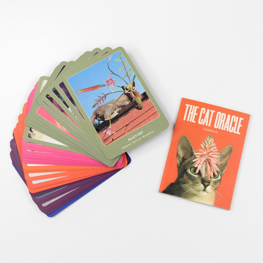 Set of 'The Cat Oracle' cards with colorful designs and a cat illustration on an orange background.