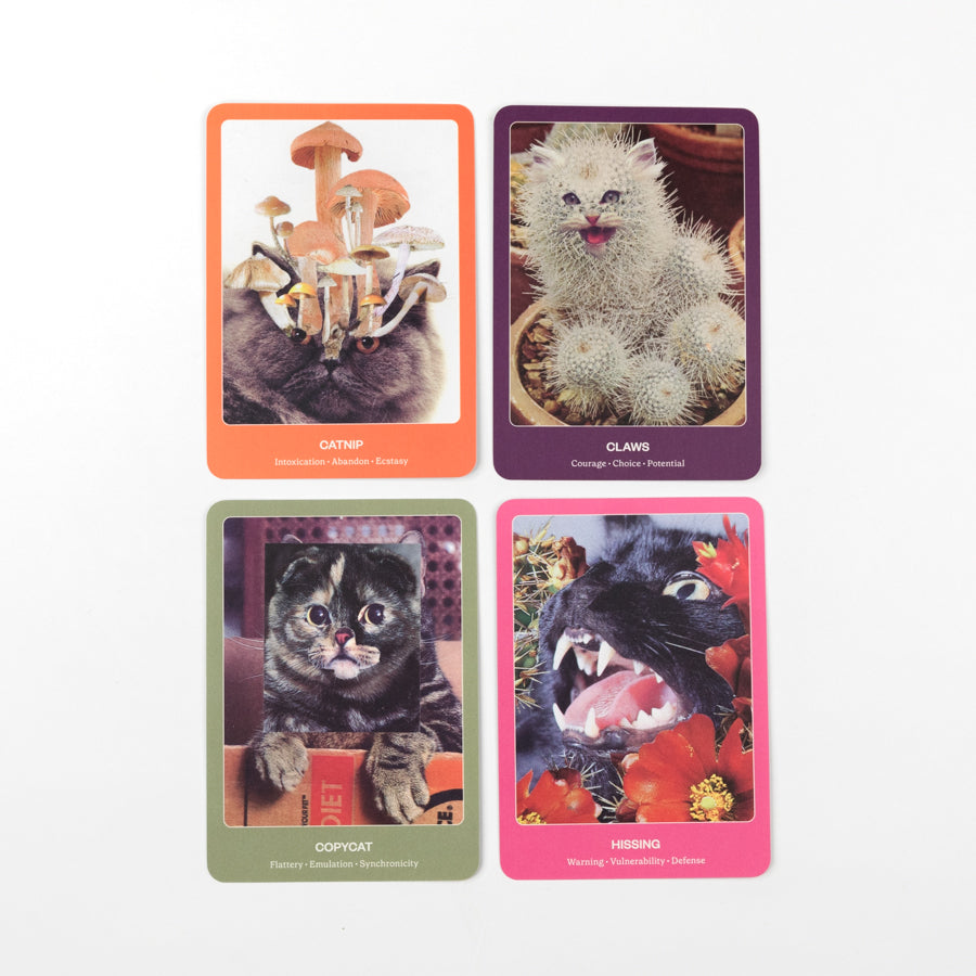 Four colorful cards featuring cats and plants on a white background