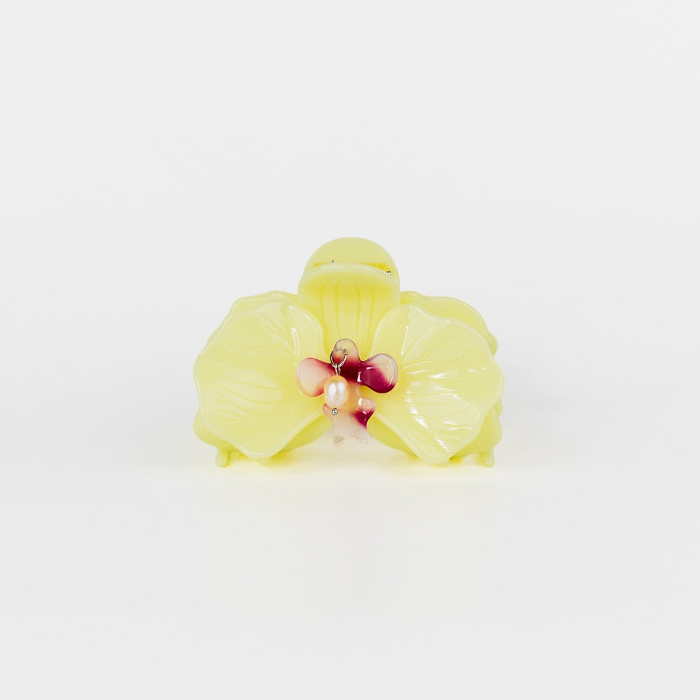 Orchid Claw - Citrine